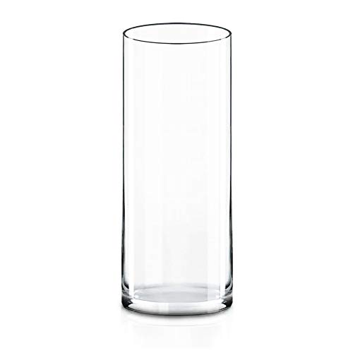 Glass Cylinder Vase | Flower Vase Centerpiece