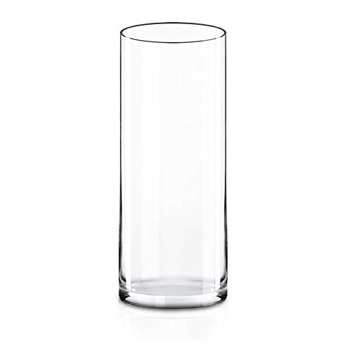 CYS Excel Clear Glass Cylinder Vase - Elegant and Versatile Centerpiece