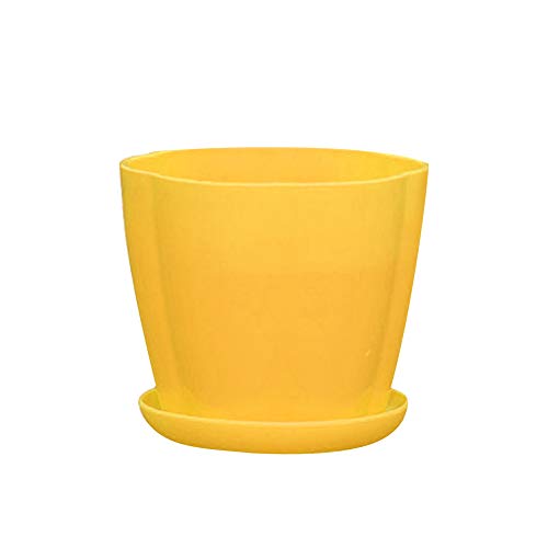 QiancArolBD Plastic Flower Pot with Saucer