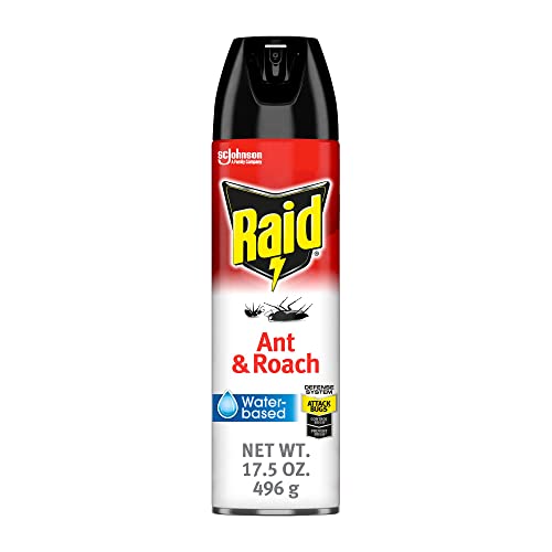 Raid Ant & Roach Aerosol Bug Spray