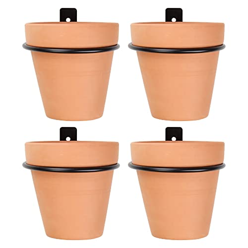 Metal Wall Ring Planters with Pots