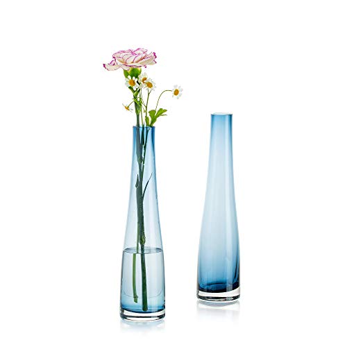 Blue Glass Flower Vases for Home and Office Décor