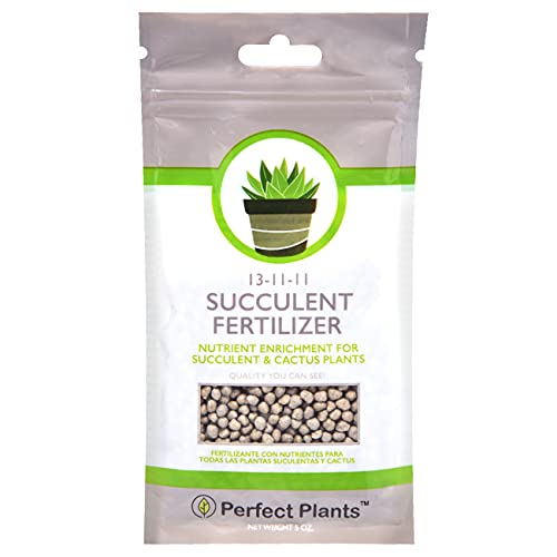 Long Lasting Gentle Plant Food for Succulents and Cacti