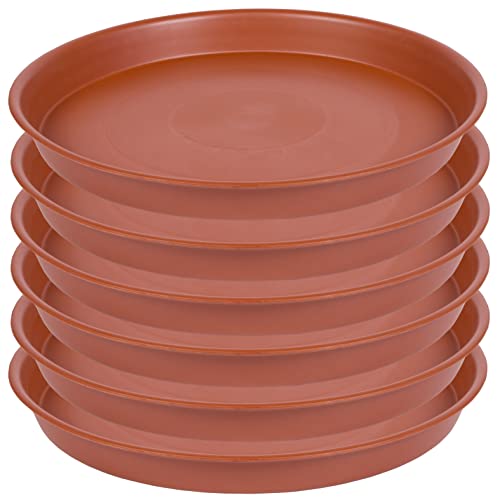 Bleuhome 6-Inch Plant Saucers: A Sturdy Solution for Indoor and Outdoor Plants