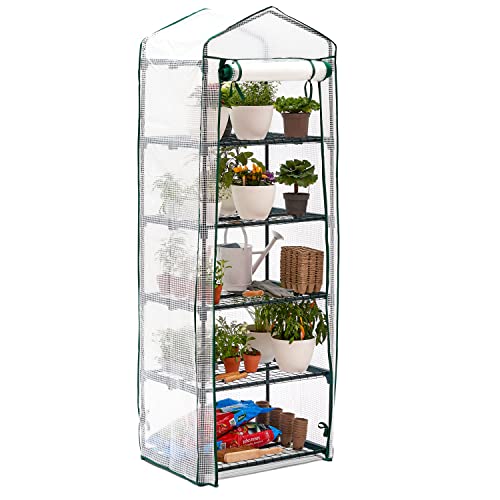 Bramble 5 Tier Mini Greenhouse - Compact and Sturdy