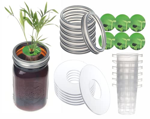 Wide Mouth Hydroponic Lid Kratky Mason Jar Lid Urban Aquaculture