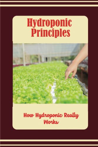 Hydroponic Principles: Understanding How Hydroponics Works