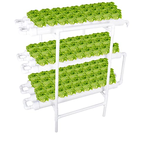 Convenient and Beginner-Friendly Hydroponic Grow Kit