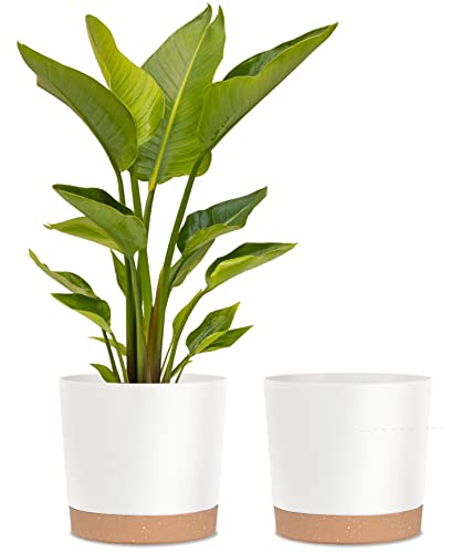 kubvici Plant Pots for Indoor Plants