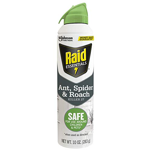 Raid Essentials Ant, Spider & Roach Killer Aerosol Spray