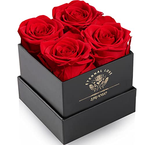 Preserved Roses in a Box - Unique Gifts for Women