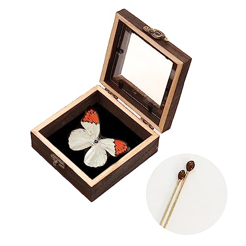 Butterfly Shadow Box for Insect Collection