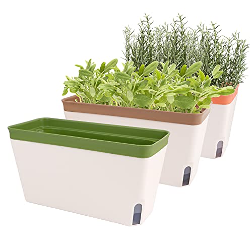 Windowsill Herb Planter Box Set of 3
