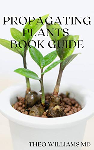 The Essential Guide to Propagating Plants