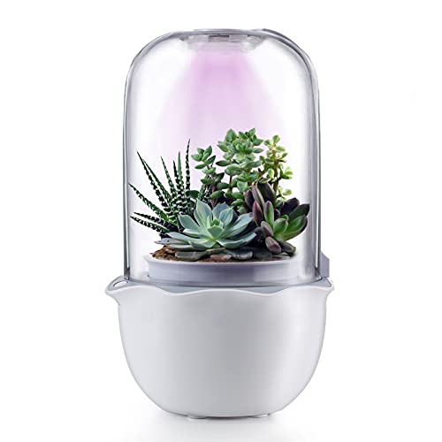 Smart Succulent Pot with Grow Light and Timer