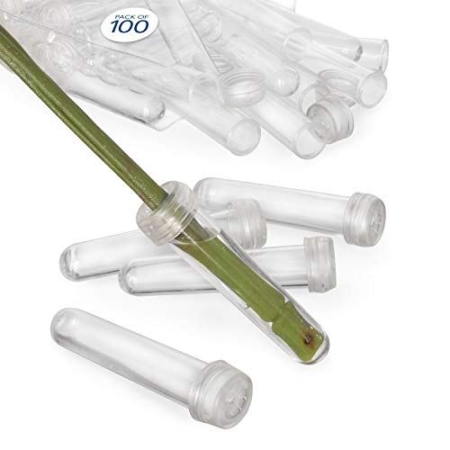 Royal Imports Floral Water Tubes/Vials for Flower Arrangements