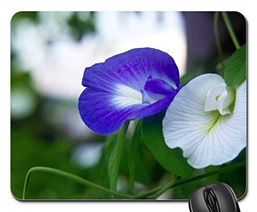 Butterfly Peanuts Flower Nature Mouse Pad - Stylish and Functional