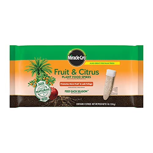 Miracle-Gro Fruit & Citrus Plant Food Spikes