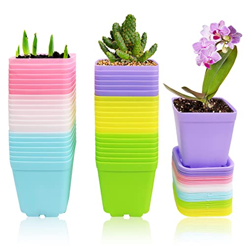 Colorful Plastic Plant Pots