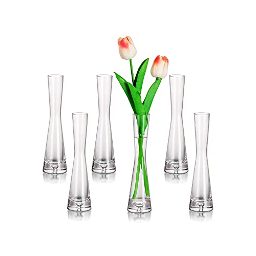 Set of 6 Glass Bud Vases for Centerpieces