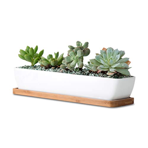 Long Rectangle Ceramic Succulent Planter Pots with Saucers