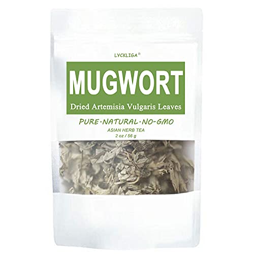 Mugwort Leaves - Natural Herbal Tea for Immunity and Well-Being