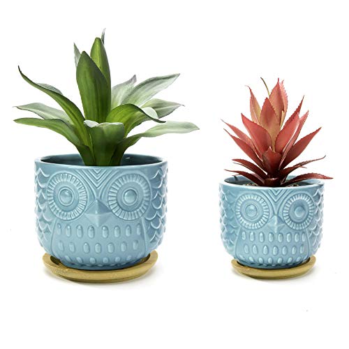 Nattol Owl Succulent Planter - Turquoise Animal Plant Pots with Drainage Hole and Bamboo Saucer