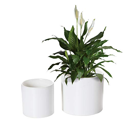 Nihow Flower Pot - 5 & 7 Inch Ceramic Planter Pots