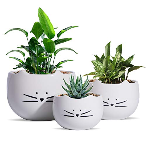 Cute Cat Flower Pot - Set of 3 Ceramic Planters
