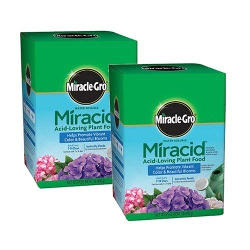 Miracle-Gro 1750011 Water Soluble Miracid Acid-Loving Plant Food (1-Pound, 2 Pack)
