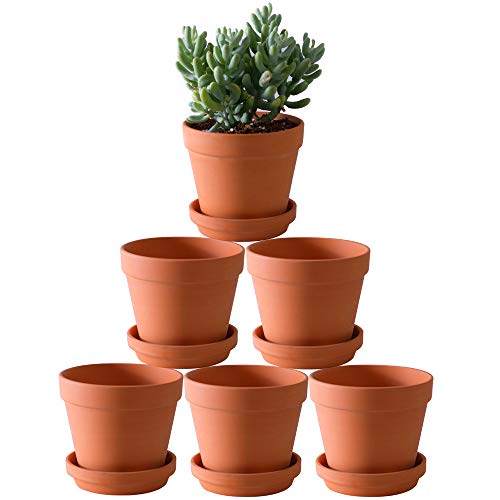 Large Terra Cotta Pots with Saucer Pack