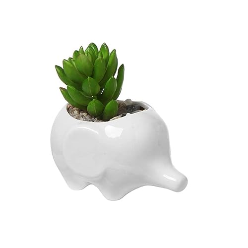 White Ceramic Elephant Flower Pot for Succulents and Cactus Plants