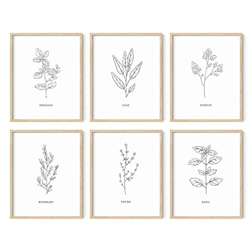 Stylish Kitchen Herbs Wall Art Decor