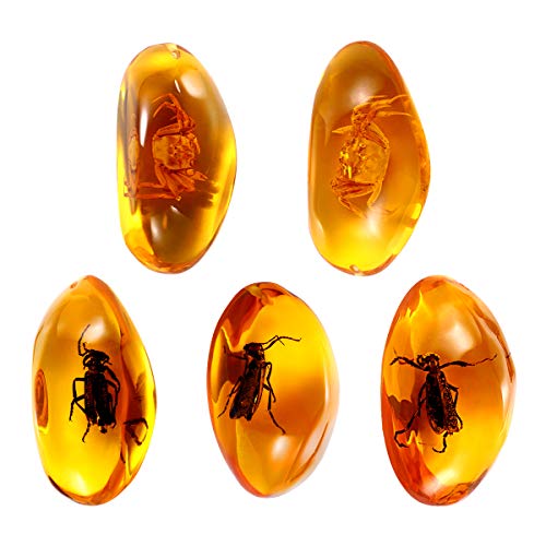 Amber Fossil Insect Pendant