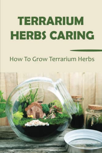 Terrarium Herbs Caring: A Comprehensive Guide on Growing Herbs in a Terrarium