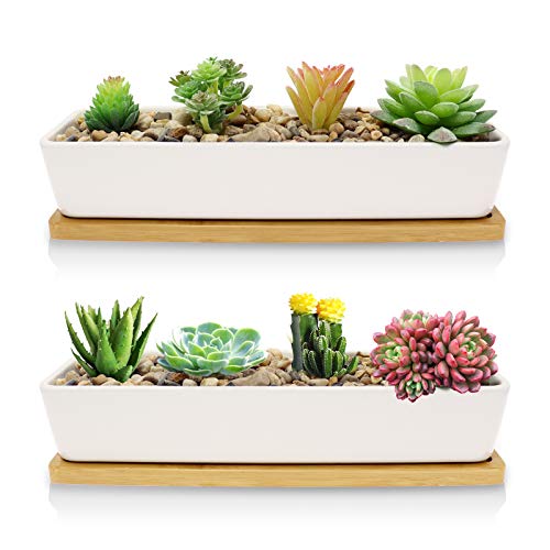 Farielyn-X White Succulent Planter Pots