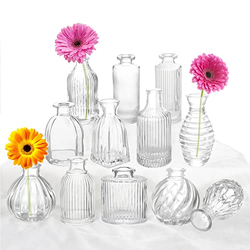 Striped Glass Bud Vases Set of 12