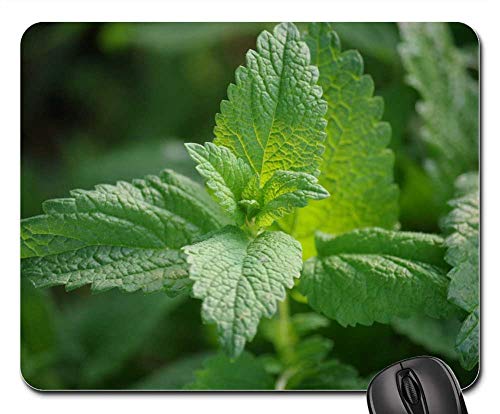 Melissa Herb Fragrant Plant Mouse Pad
