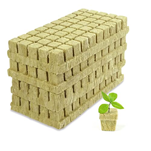 SKINNYBUNNY Rockwool Cubes 1 inch