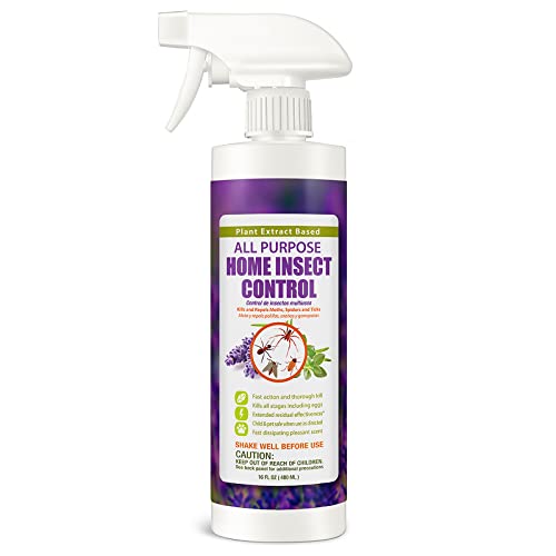 EcoRaider All Purpose Insect Control: Effective & Non-Toxic Solution