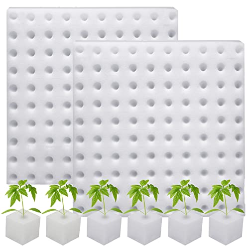 Hydroponic Sponges for Gardening