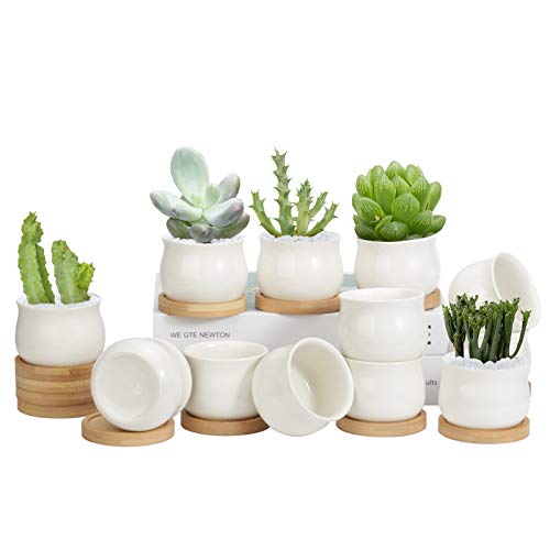 ZOUTOG Succulent Pots