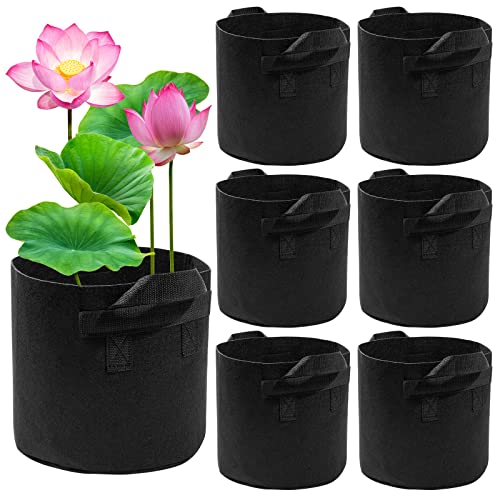 Lily Plant Pots for Pond