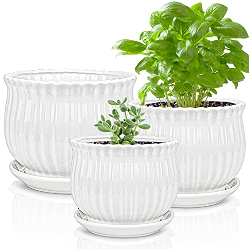 Yesland Ceramic Flower Plant Pots with Saucer