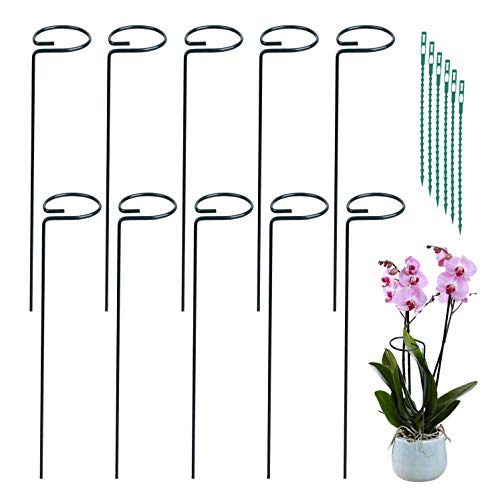 QJL Plant Support Stakes - 20 Pack