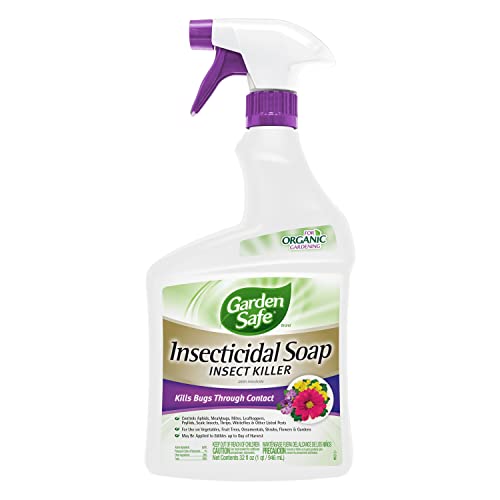 Garden Safe Insecticidal Soap