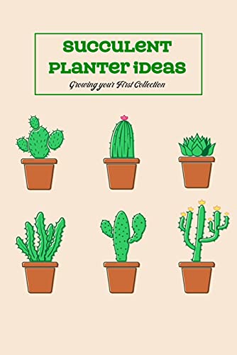Succulent Planter Ideas: Your Guide to Growing Beautiful Succulents