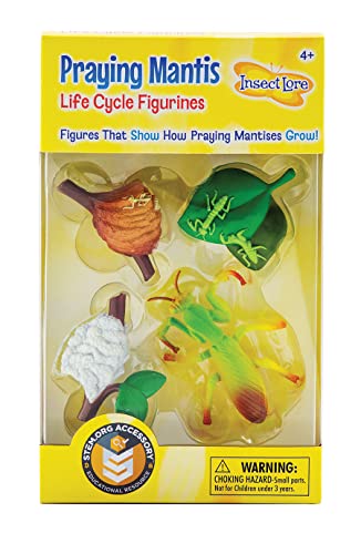 Praying Mantis Life Cycle Figures - 2" Bug Toys