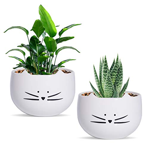 Cute Cat Succulent Planter Pots