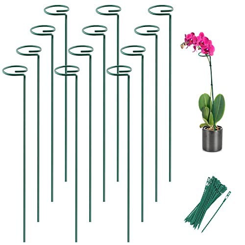 Joyhalo Plant Stakes with Rings and Twist Ties